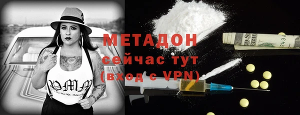 гидра Арсеньев