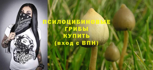 гидра Арсеньев