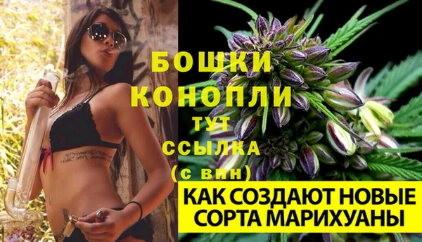 гидра Арсеньев